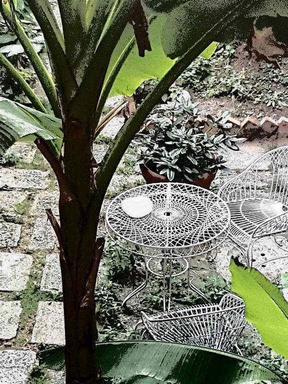 Appartamento Garden Ca' Rezzonico Венеция Экстерьер фото